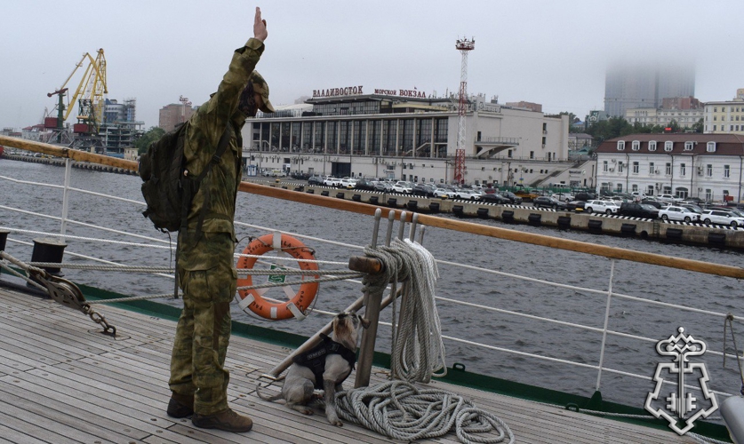 Во Владивостоке состоялась церемония вручения ведомственных знаков отличия собакам Росгвардии