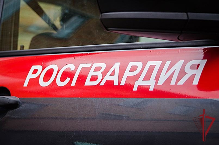 Росгвардейцы задержали агрессивного пациента в травмпункте Артема