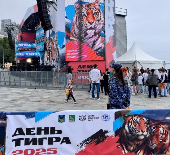 В Дальневосточной столице состоялся один из самых любимых горожанами праздников – День тигра.